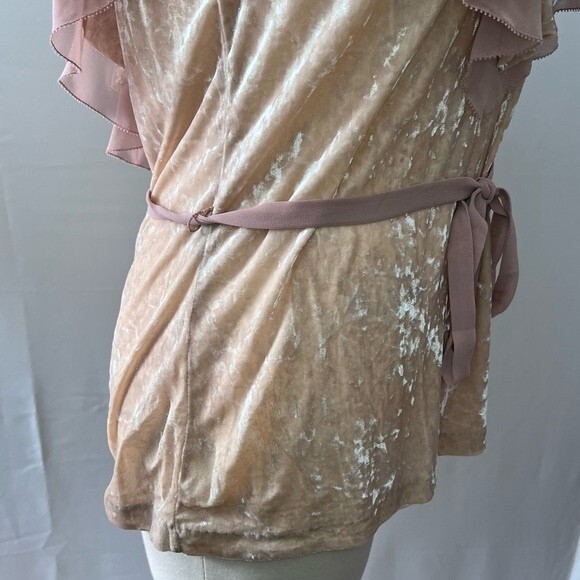 WHBM Pink Velvet Flounce Belted Top Size Medium Style 570216298 Fairycore - Picture 6 of 12